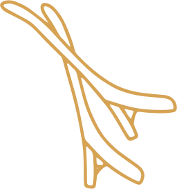 Decorative Spa Shape